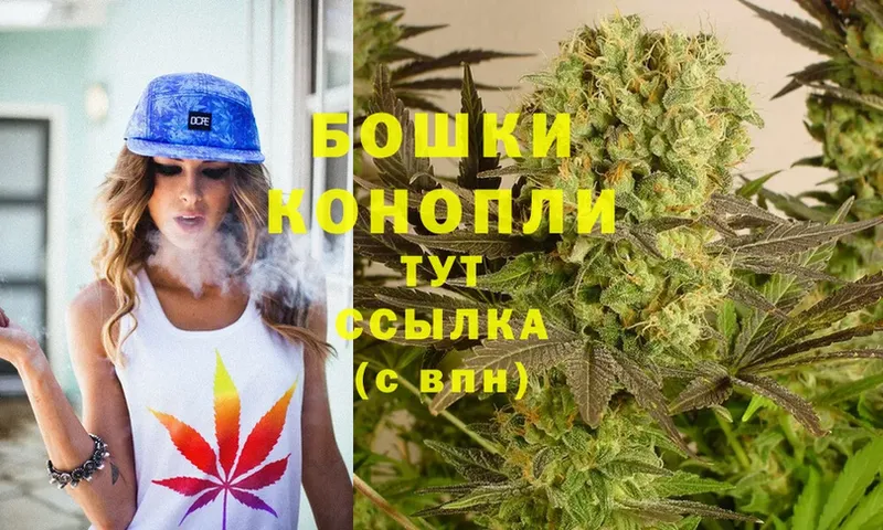 Каннабис SATIVA & INDICA  Луза 